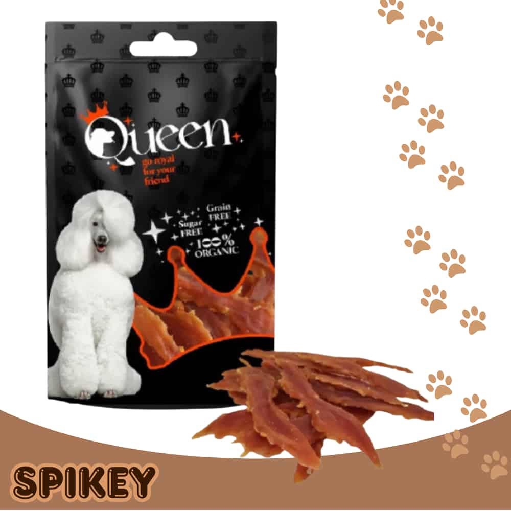 Queen חטיף קווין בטעם חזה עוף מיובש 80 גרם