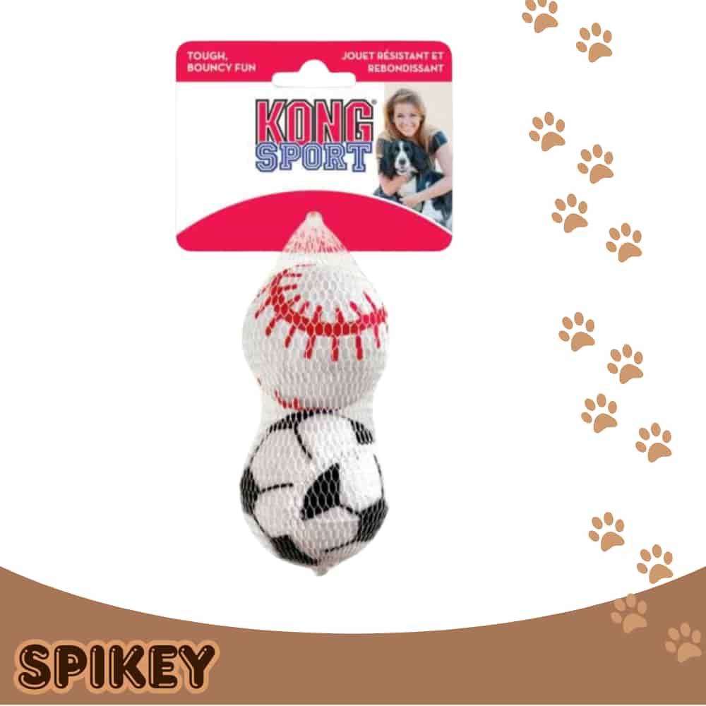 KONG קונג זוג כדורי ספורט L