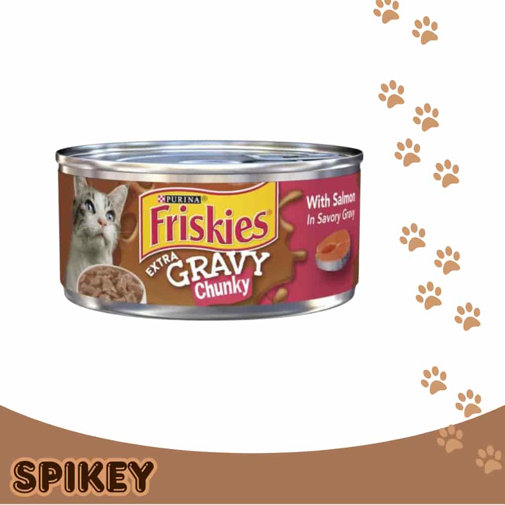 FRISKIES פריסקיז סלמון ברוטב 156 גרם