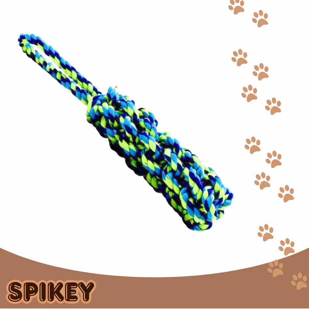 DIRECT צעצוע נשיכה חבל שזור