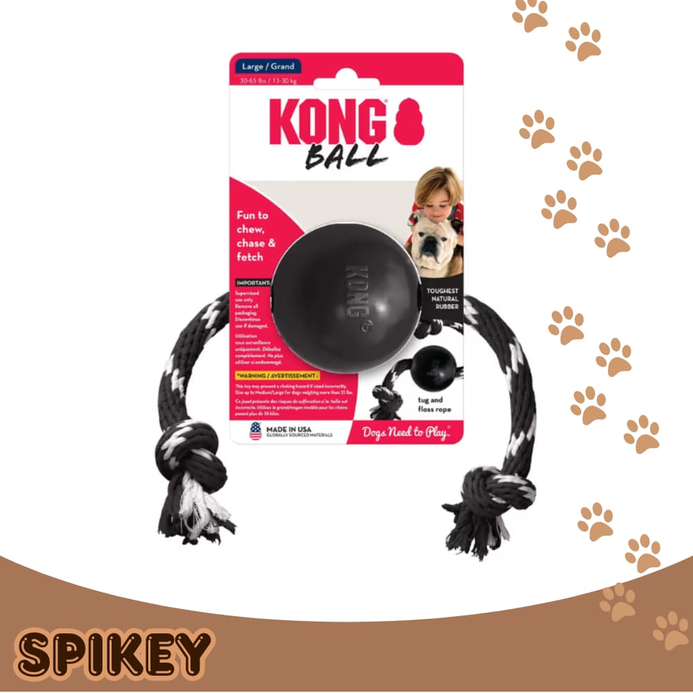 KONG קונג אקסטרים כדור עם חבל דנטלי חזק מידה L