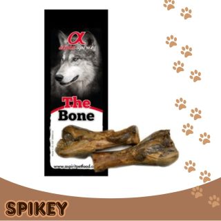 ALPHA SPIRIT אלפא ספיריט חצי עצם חזיר 2 יח'