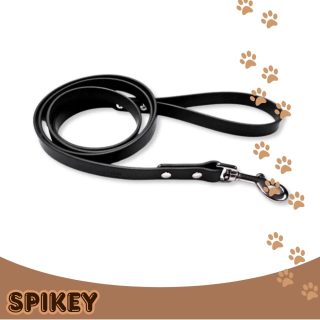 PRO CLASSIC רצועת הולכה ביוטין 160 ס"מ שחור