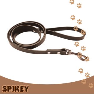 PRO CLASSIC רצועת הולכה ביוטין 160 ס"מ חום